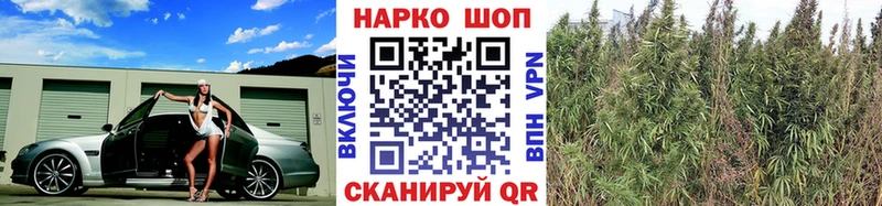 Магазины продажи наркотиков Соль-Илецк Конопля  COCAIN  MDMA  Меф 